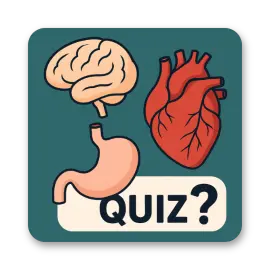 Organs Quiz
