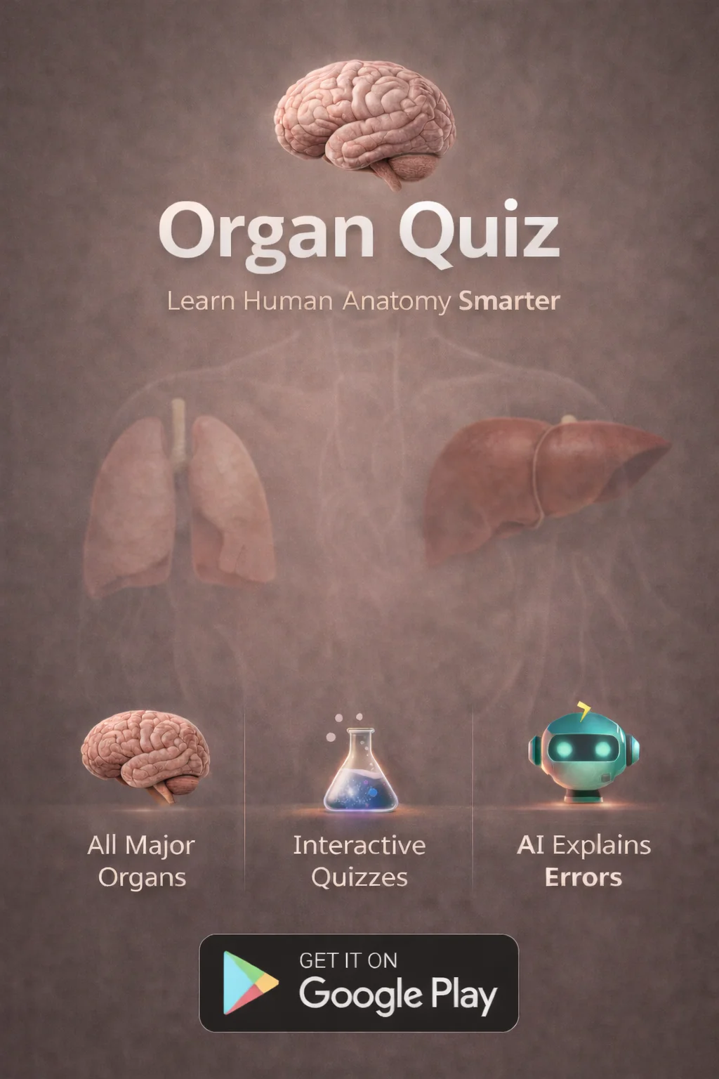 Organs Quiz