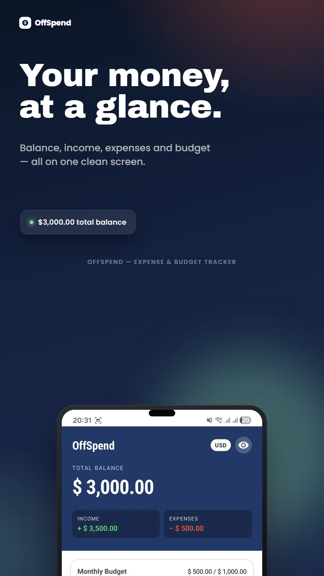 Money Manager app preview