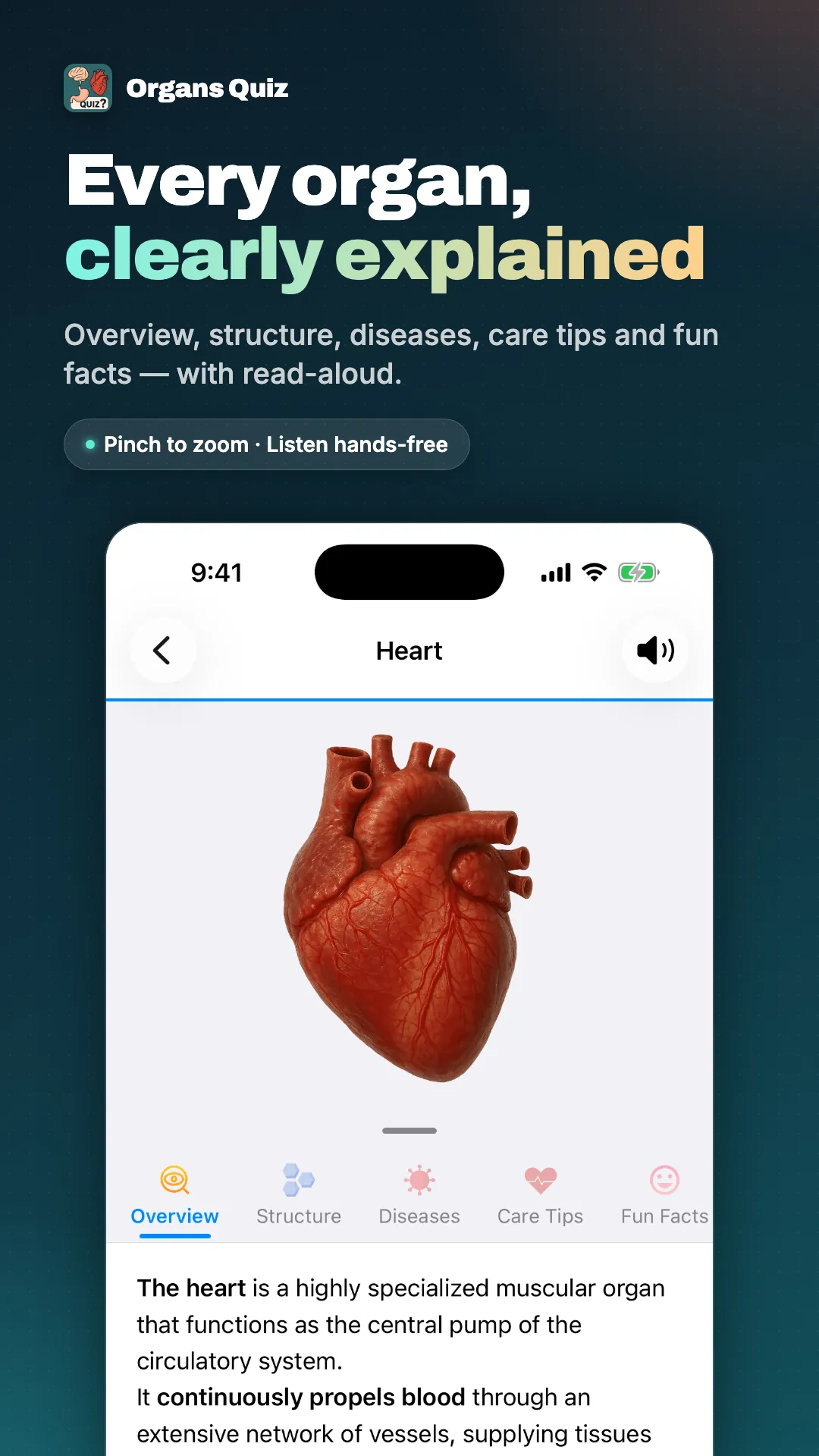 Organs Quiz screenshot 2