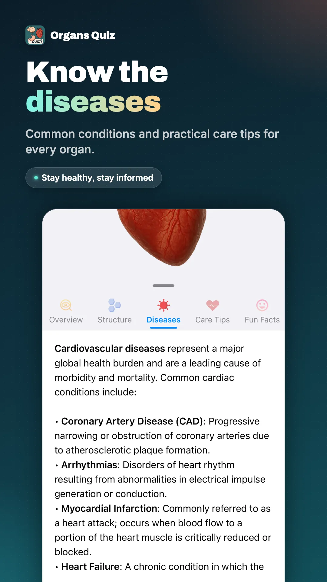 Organs Quiz screenshot 3