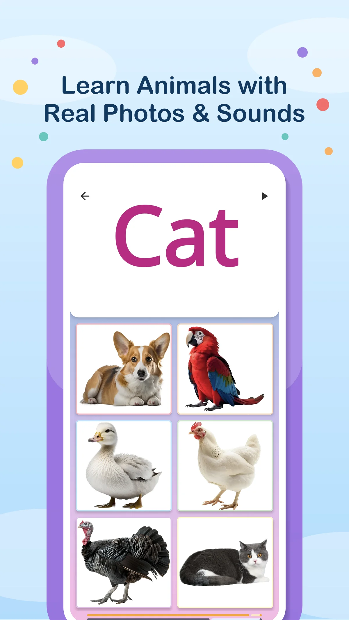 Children's Quiz app preview